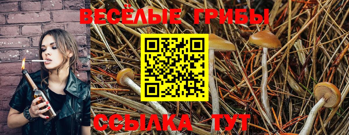 Галлюциногенные грибы Psilocybine cubensis Отрадный